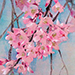 Yusuke Motozi Gallery